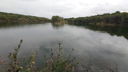 Moore Nature Reserve